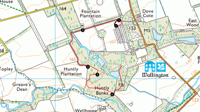 Pine Marten Discovery Trail at Wallington - trail map